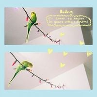 bedbug - I'll Count to Heaven In Years Without Seasons