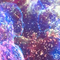 Tek800 - 無限の宇宙