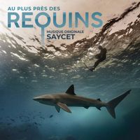 Saycet - Au plus pr&egrave;s des requins
