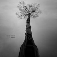Paradox Obscur - Artifact