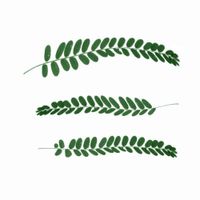 Living With Giants - Rest