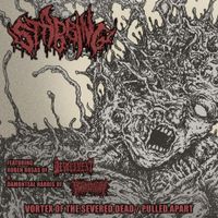 Stabbing - Vortex of the Severed Dead / Pulled Apart