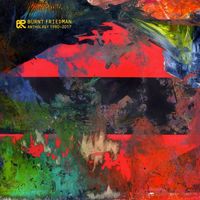 Burnt Friedman - Anthology (1980-2017)