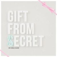 시크릿 [Secret] - Gift From Secret