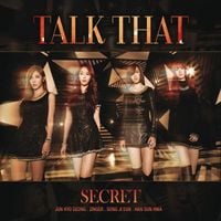 시크릿 [Secret] - Talk That