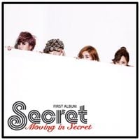 시크릿 [Secret] - Moving in Secret