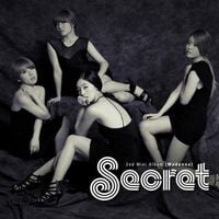 시크릿 [Secret] - Madonna