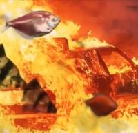 Joji - Firefish
