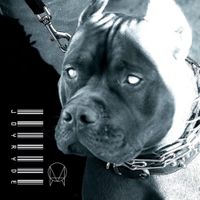 JOYRYDE - New Breed