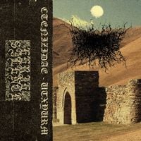 Ctenizidae - Uoeremb Tmeab Xaab Yurem Uumbwurzeg Raaeb Moeceb