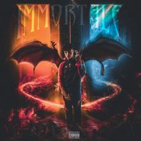 Gallagher - Immortale