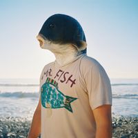 Shayhan - Mr. Fish