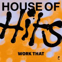 HOUSE OF HITS - Work That