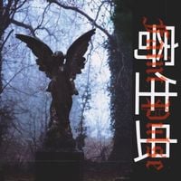 PARASITE//寄生虫 - Faint Pulse