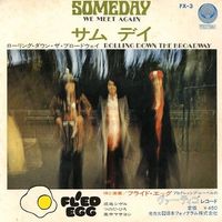 Flied Egg - Someday (We Meet Again)