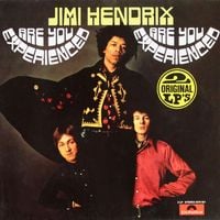 The Jimi Hendrix Experience - Are You Experienced / Axis: Bold as Love