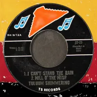 Tuluum Shimmering - I Can't Stand the Rain / Will o' the Wisp