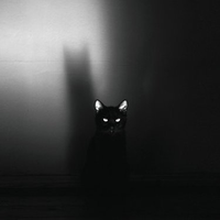 SIAMES - My Little One