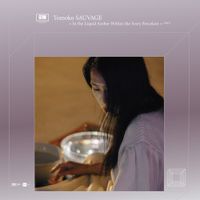 Tomoko Sauvage - In the Liquid Amber Within the Ivory Porcelain