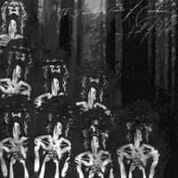 Full of Hell - The Inevitable Fear of Existence