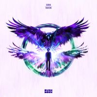 Sora - Raven