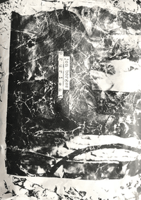 Prurient & Pedestrian Deposit - Prurient / Jon Borges