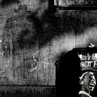 S.Y.P.H. - 4. LP