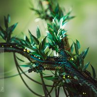 Darren Tate - Metamorphosis
