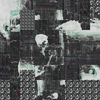 opalll - the transience of ache doesn't negate