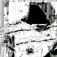 opalll - 2007