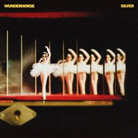Wunderhorse - Silver