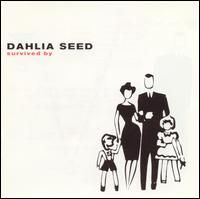 Dahlia Seed - Survived By