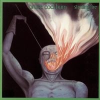 Bruce Cockburn - Stealing Fire