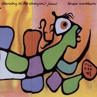 Bruce Cockburn - Dancing in the Dragon's Jaws