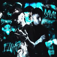 Raul WS - ELWS