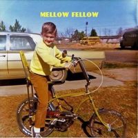 Mellow Fellow - Jazzie Robinson