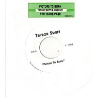 Taylor Swift - Picture to Burn / Ten Years Pass