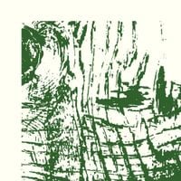 Fern - The Latch