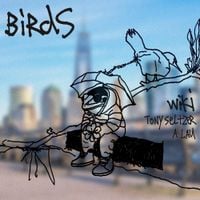 Wiki - Birds