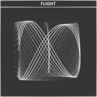COPYCATT - FLIGHT