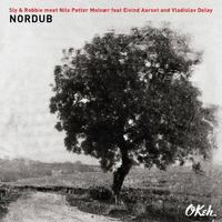 Sly & Robbie + Nils Petter Molvaer + Eivind Aarset + Vladislav Delay - Nordub