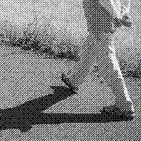 Florian T M Zeisig - Walking Mix