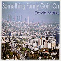 David Marks - Something Funny Goin' On