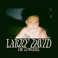 Ok Cowgirl - Larry David