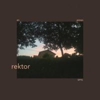 Rektor - en annen gang.