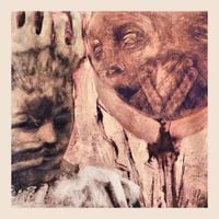 Jar Of Blind Flies - M​&iacute;​&agrave;