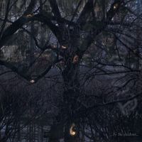 Trelldom - .​.​.​By The Shadows​.​.​.