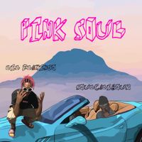 LiL Flamingo - Pink Soul