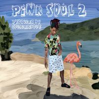 LiL Flamingo - Pink Soul 2