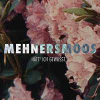 Mehnersmoos - H&auml;tt ich gewusst
